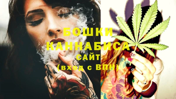сатива Краснослободск