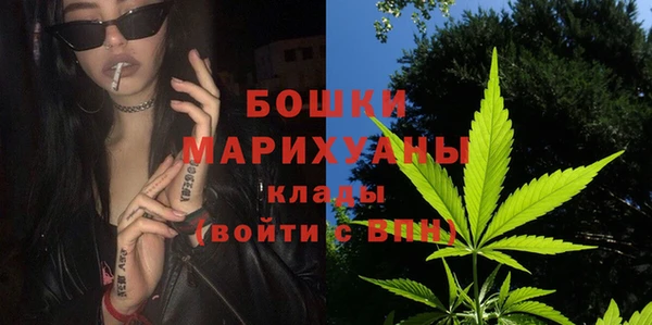 сатива Краснослободск