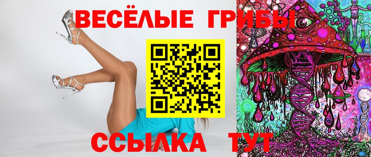 Псилоцибиновые грибы мухоморы Белгород