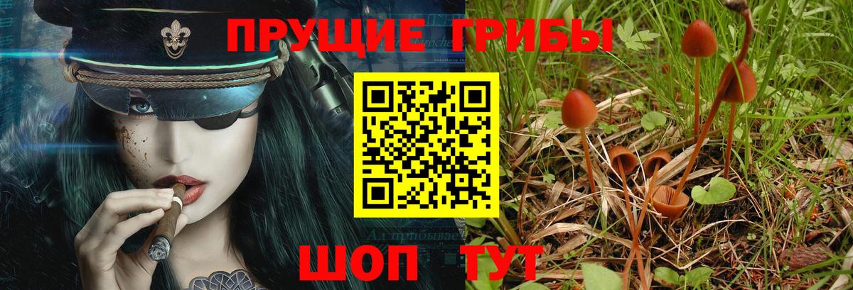 Галлюциногенные грибы Cubensis  Вход с VPN  Галлюциногенные грибы Psilocybe  Белгород 