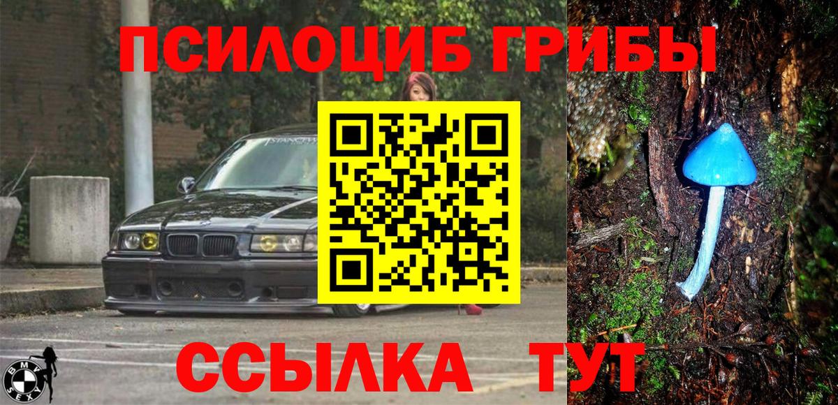 Галлюциногенные грибы прущие грибы  Галлюциногенные грибы Cubensis  что такое   Белгород 